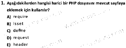 BY2006 İnternet Programcılığı 2 çıkmış sınav sorusu 1