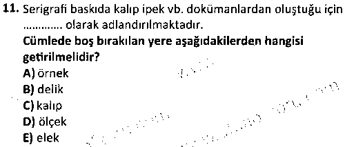 BY1008 Masaüstü Yayıncılık çıkmış sınav sorusu 3