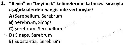 ISG2008 Tıbbi Terminoloji çıkmış sınav sorusu 1
