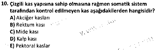 ISG2008 Tıbbi Terminoloji çıkmış sınav sorusu 2