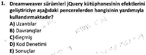 BIL1004 Web Editörü çıkmış sınav sorusu 1