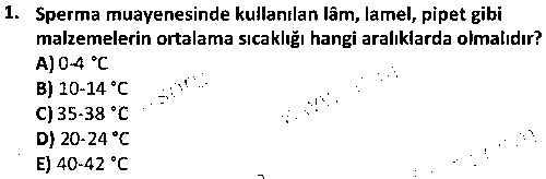LAB2008 Suni Tohumlama ve Veteriner Doğum Bilgisi çıkmış sınav sorusu 1