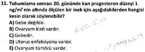 LAB2008 Suni Tohumlama ve Veteriner Doğum Bilgisi çıkmış sınav sorusu 3