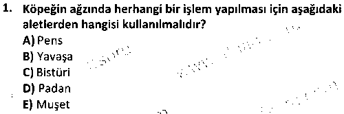 LAB2006 Veteriner Dış Hastalıkları Bilgisi çıkmış sınav sorusu 1