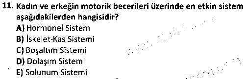 SPB1002 Genel Antrenman Bilgisi çıkmış sınav sorusu 3