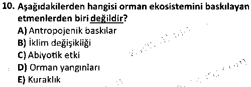 RKR2002 Rekreasyon ve Çevre çıkmış sınav sorusu 2
