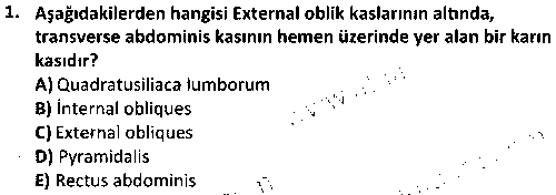 SPB3002 Fitness Uygulamaları çıkmış sınav sorusu 1