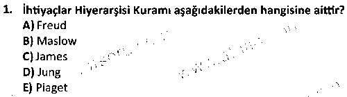 KAM3005 Sosyal Psikoloji çıkmış sınav sorusu 1