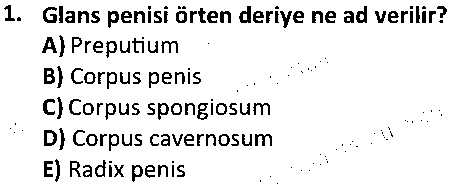 TDS1007 Temel Anatomi çıkmış sınav sorusu 1