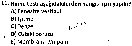 TDS1007 Temel Anatomi çıkmış sınav sorusu 3