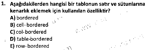 BY1007 Web Tasarımının Temelleri çıkmış sınav sorusu 1
