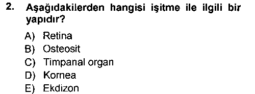 BIY102U Genel Biyoloji 2 çıkmış sınav sorusu 2