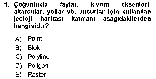 CBS206U CBS’de Proje Tasarımı ve Yönetimi 2 çıkmış sınav sorusu 1