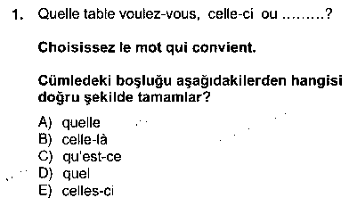 FRA202U Turizm İçin Fransızca 2 çıkmış sınav sorusu 1