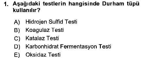 LBV106U Temel Veteriner Mikrobiyoloji ve İmmünoloji çıkmış sınav sorusu 1