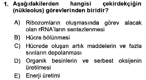 LBV109U Hücre Kimyası çıkmış sınav sorusu 1