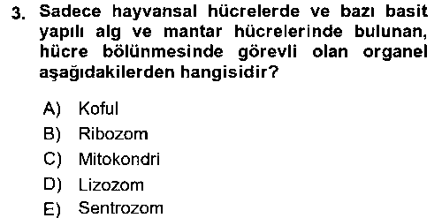 LBV109U Hücre Kimyası çıkmış sınav sorusu 3