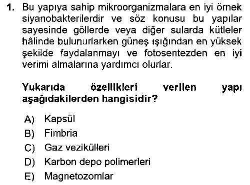 LBV114U Genel Mikrobiyoloji çıkmış sınav sorusu 1