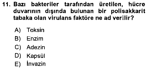 LBV114U Genel Mikrobiyoloji çıkmış sınav sorusu 3