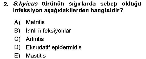 LBV209U Veteriner Mikrobiyoloji ve Epidemiyoloji çıkmış sınav sorusu 2