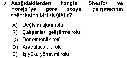SHZ202U Sosyal Hizmet Uygulamaları çıkmış sınav sorusu 2