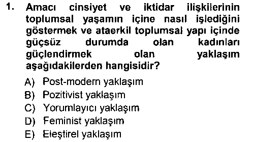 SOS101U SOS101U Sosyolojiye Giriş çıkmış sınav sorusu 1