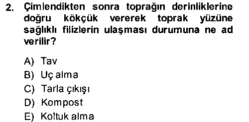 TRM205U Tarla Bitkileri 2 çıkmış sınav sorusu 2