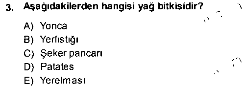 TRM205U Tarla Bitkileri 2 çıkmış sınav sorusu 3