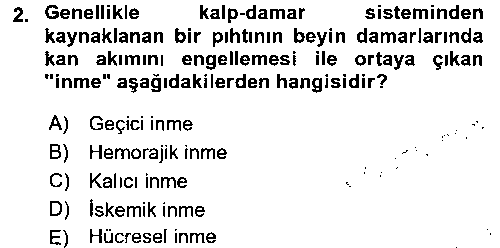 YAB207U Bakım Elemanı Yetiştirme Ve Geliştirme 3 çıkmış sınav sorusu 2